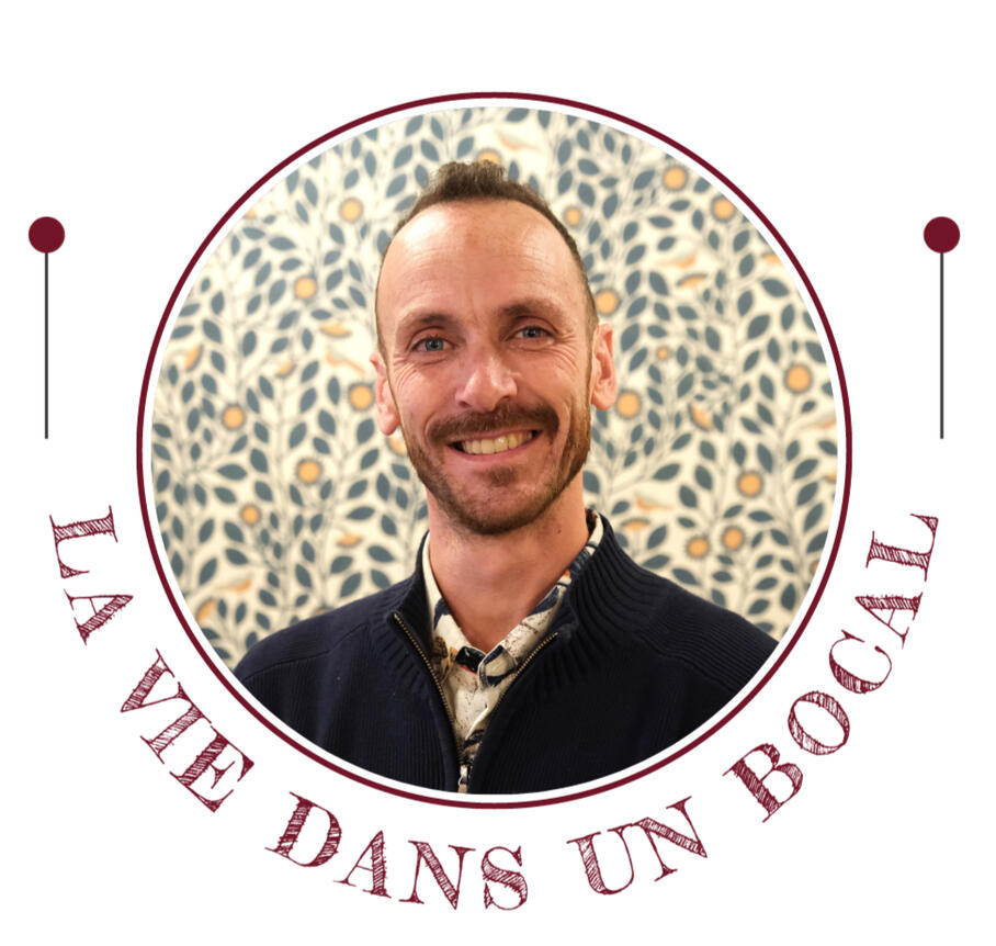LA VIE DANS UN BOCAL Expert Fermentation &amp; Microbiote Légumes fermentés, Artisanat &amp; Fermentation Découvrez nos produits &amp; suivez nos aventures (69)